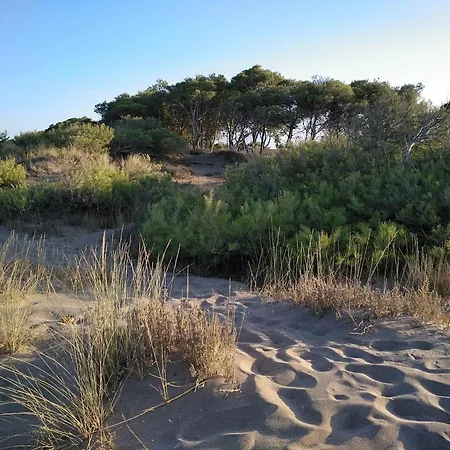 Ground Floor By The Sant Marti d'Empuries